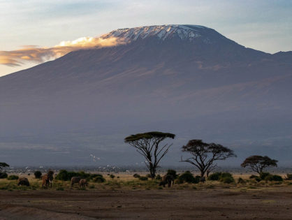 Swinton MD takes on Kilimanjaro for Shelter