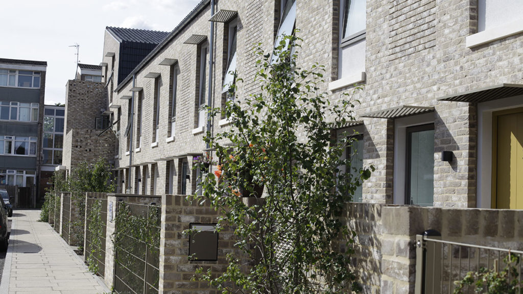 A row of houses, with a flowering bush outside